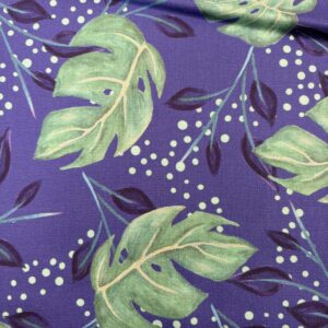 Bird of Paradise- green leaves